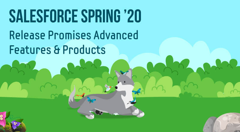 Salesforce Spring Release 20