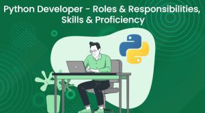 Python Developer: Skills, Roles, and Career Opportunities