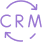 Custom CRM Development