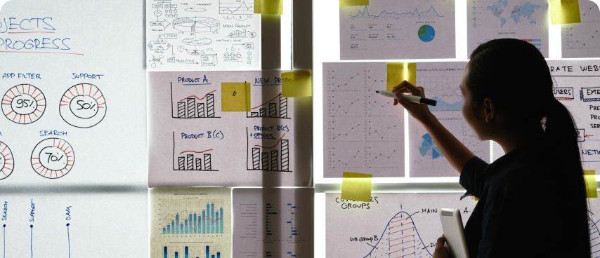 Project Execution model in MVP