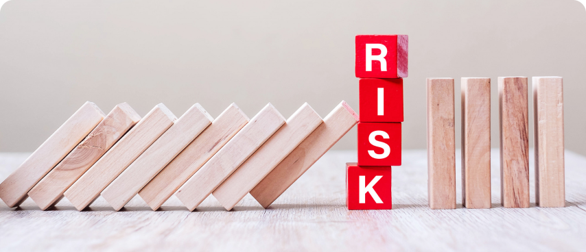 Risks Diversification in MVP