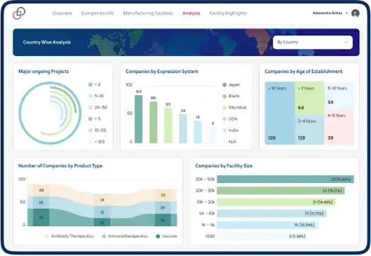 Business Intelligence Services