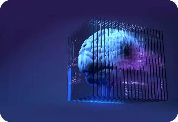 Custom AI Solution
