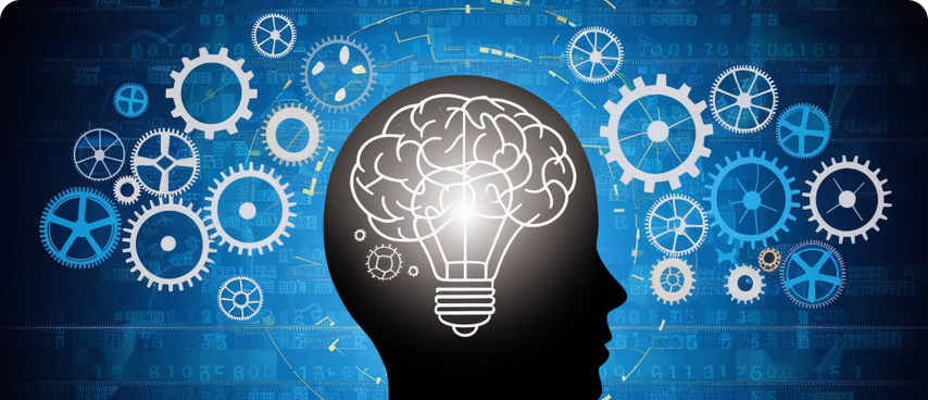 Knowledge Base Augmentation