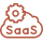 SaaS Application Development