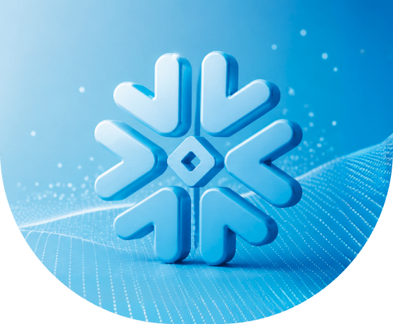 Snowflake Consulting Services